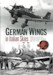 German Wings in Italian Skies: Imperial, Inter-War and Luftwaffe military aircraft in Italy 1911-1945 